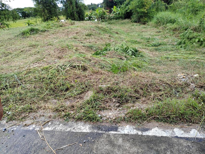 ขายที่ดินวิวสวยเชียงใหม่คันคลอง-เส้นเลี่ยงเมืองสันป่าตอง 10