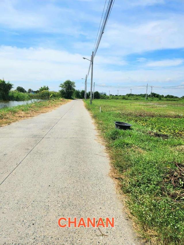 ขายที่ดิน ถ.ตำหรุ บางพลี ซ.ศรีสัมพันธ์3 จ.สมุทรปราการ เนื้อที่259ตรว 1