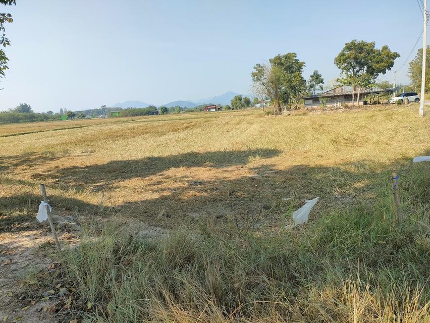 ขายที่ดินเกษตรด่วนจำนวน 6 ไร่ 3 งาน 84 ตารางวาน้ำไฟเข้าถึงอยู่ในเขตชุมชนหมู่บ้าน 2