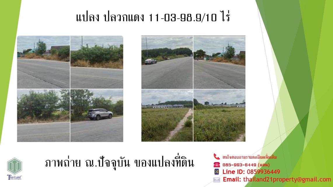 ขายที่ดินสีเหลือง อำเภอปลวกแดง จังหวัดระยอง  เนื้อที่ 11 ไร่ 3 งาน 98.9 ตารางวา 8