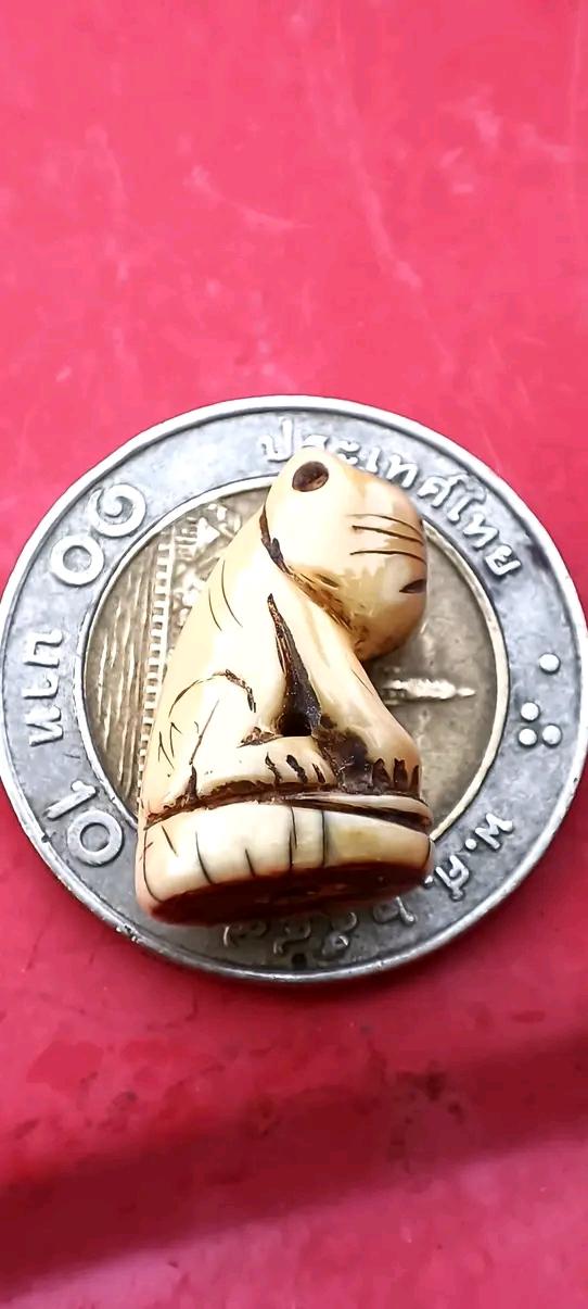 เสือหลวงพ่อปาน หลวงพ่อปาน เขี้ยวเสือ เขี้ยวเสือแกะ เขี้ยวเสือหลวงพ่อปาน วัดบางเหี้ย วัดคลองด่าน รูปที่ 3