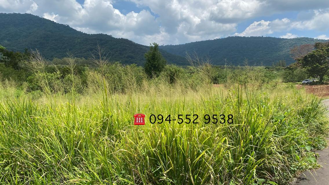 ขายที่ดินโป่งตาลอง ใกล้ชา โต้ เขาใหญ่ 4ไร่ ที่สูง วิวเขาใหญ่ ติดถนนลาดยาง