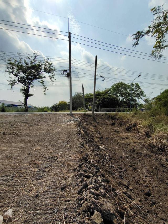 ขายที่ดิน เสนา อยุธยา 7 ไร่ 3 งาน 11.2 ตร.วา 4