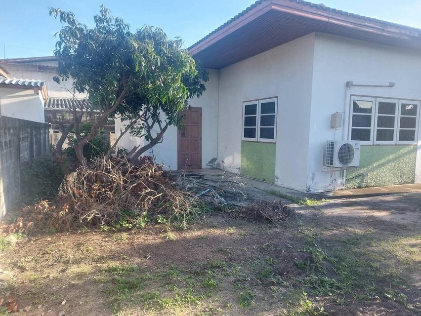 ที่ดินพร้อมบ้าน 2 งาน ตลาดโรงโป๊ะราคาถูก 2