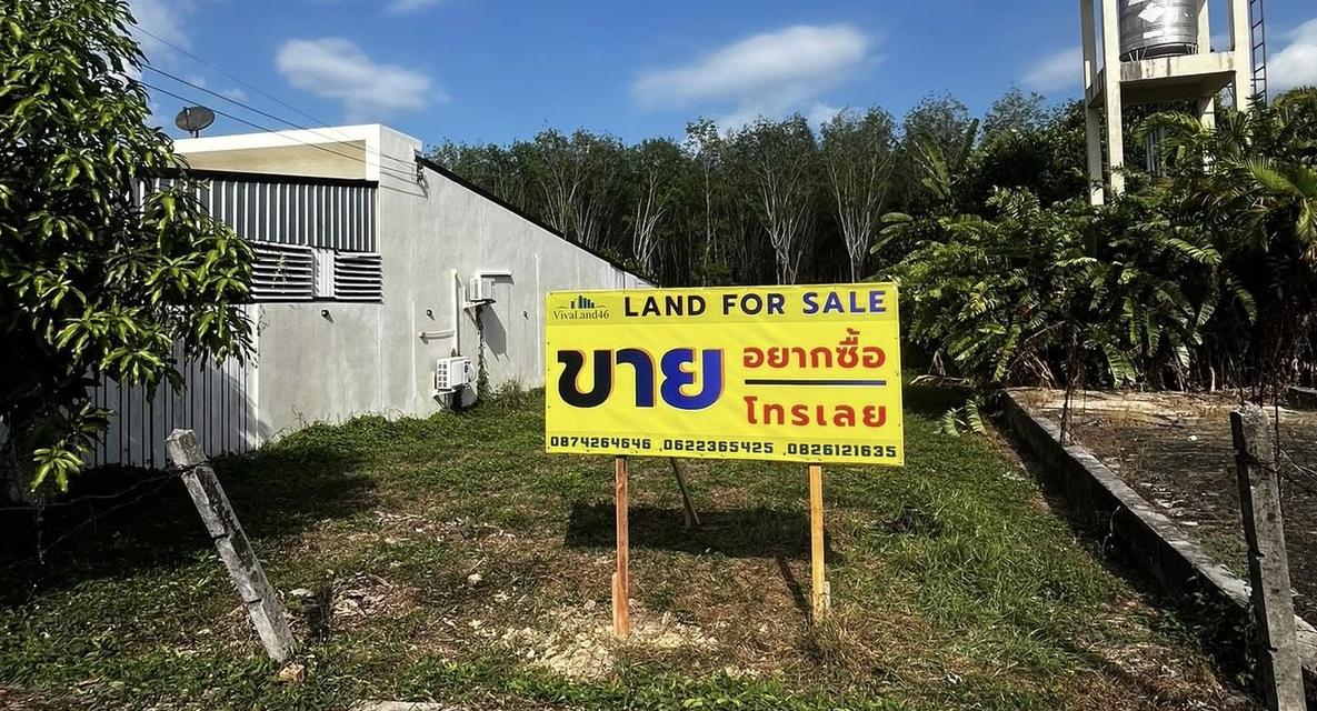 ที่ดินแบ่งแปลงแล้ว..พร้อมสร้างที่อยู่อาศัย 1