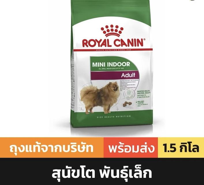 [EXP 19/Mar/ 2025] Royal Canin Mini Indoor Adu lt อาหารสุนัขโตพันธุ์เล็ก เลี้ยงในบ้าน 1.5kg