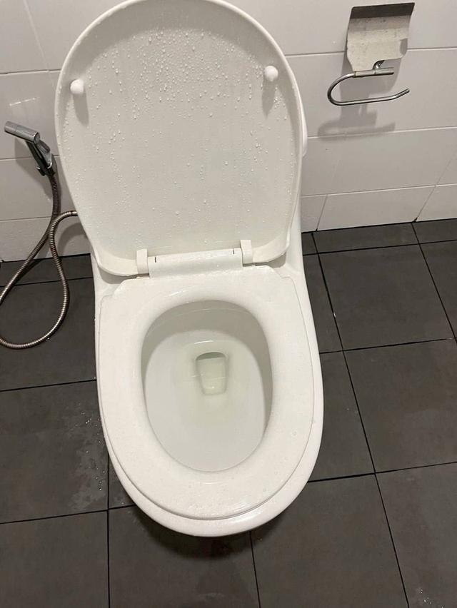 บ้านเช่าสไตล์โมเดิร์น หนองตำลึง พานทอง ชลบุรี 16