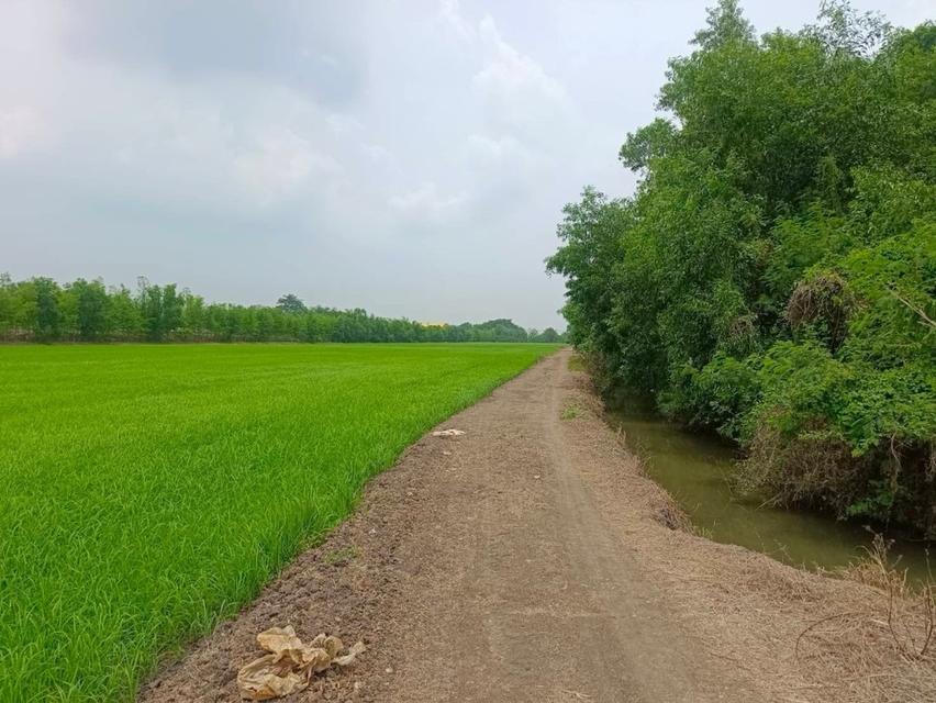 ที่ดินจังหวัดปทุมธานี ประตูน้ำพระอินทร์ คลอง 3 4