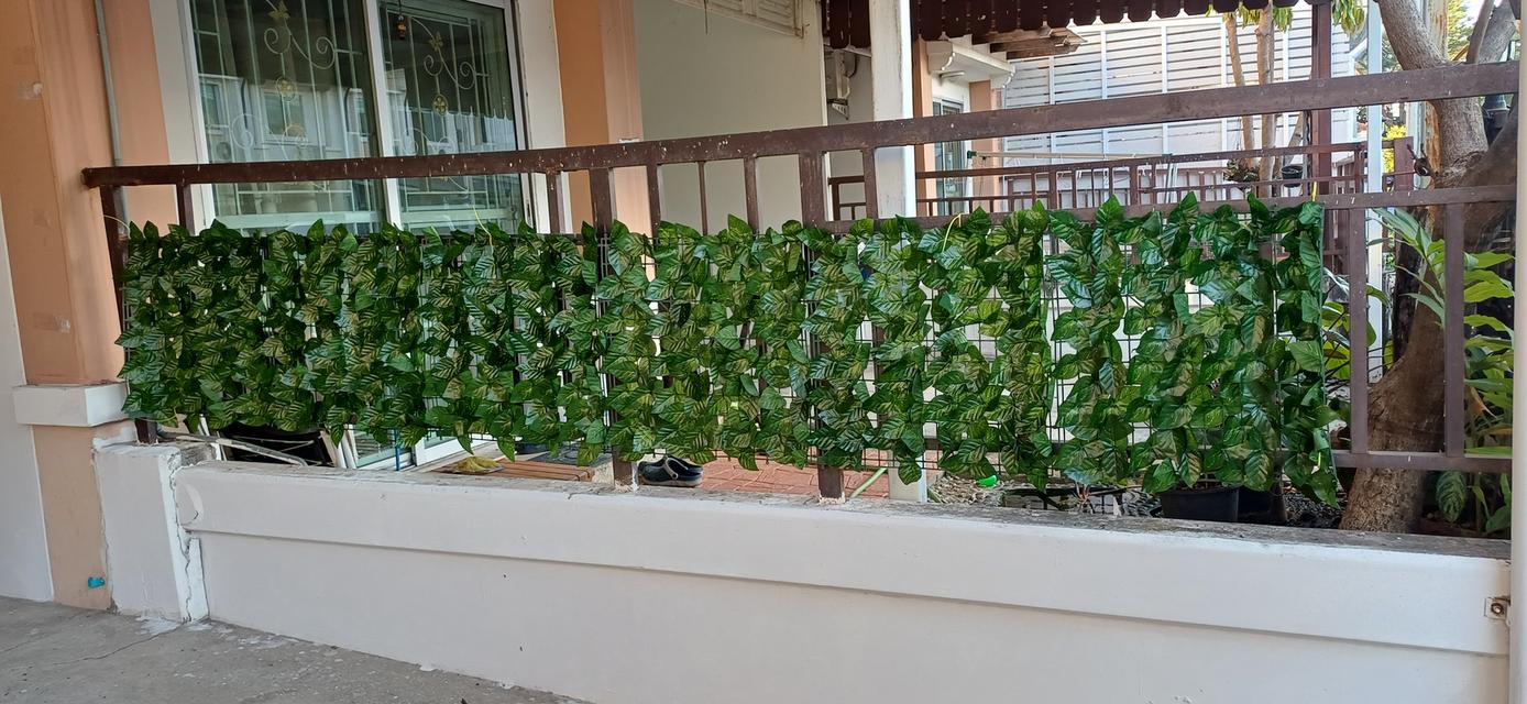 ให้เช่าทาวน์เฮ้าส์ พฤกษาวิลล์ 14