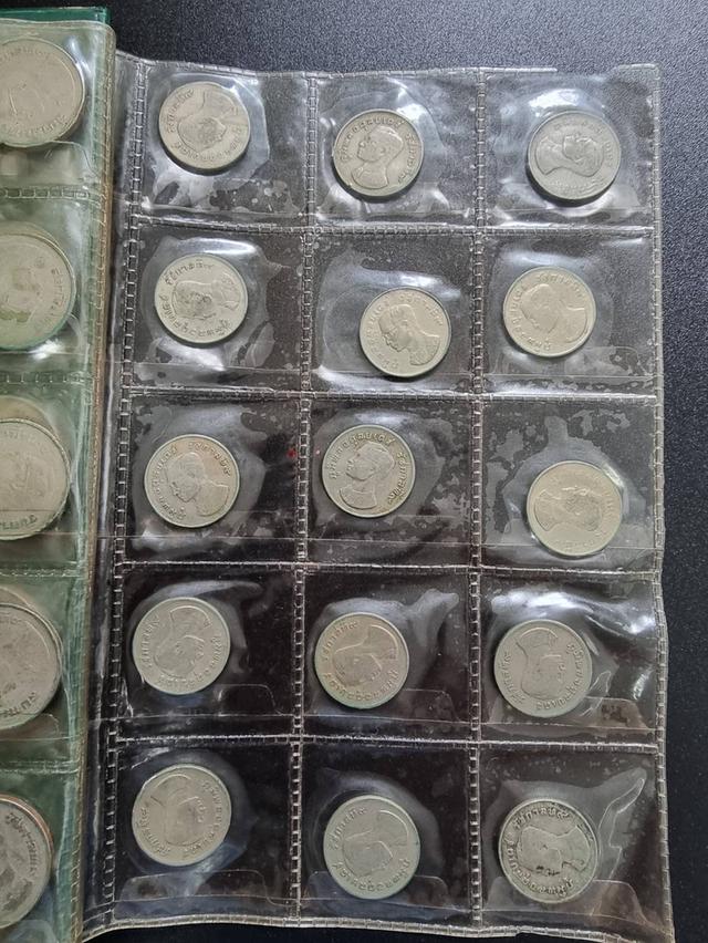 Coin Collection  8
