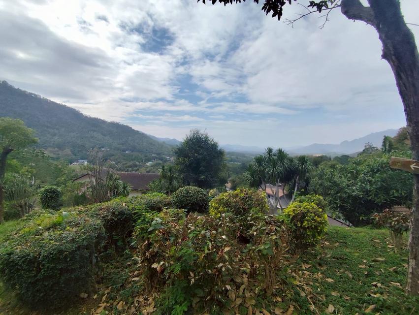 ขายที่ดินสวย วิวภูเขา เขาใหญ่ นครราชสีมา 4