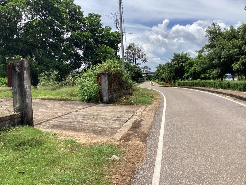 ให้เช่าที่ดืน13ไร่ใกล้สะพาน3ติดถนนเรียบโขงนครพนม 16