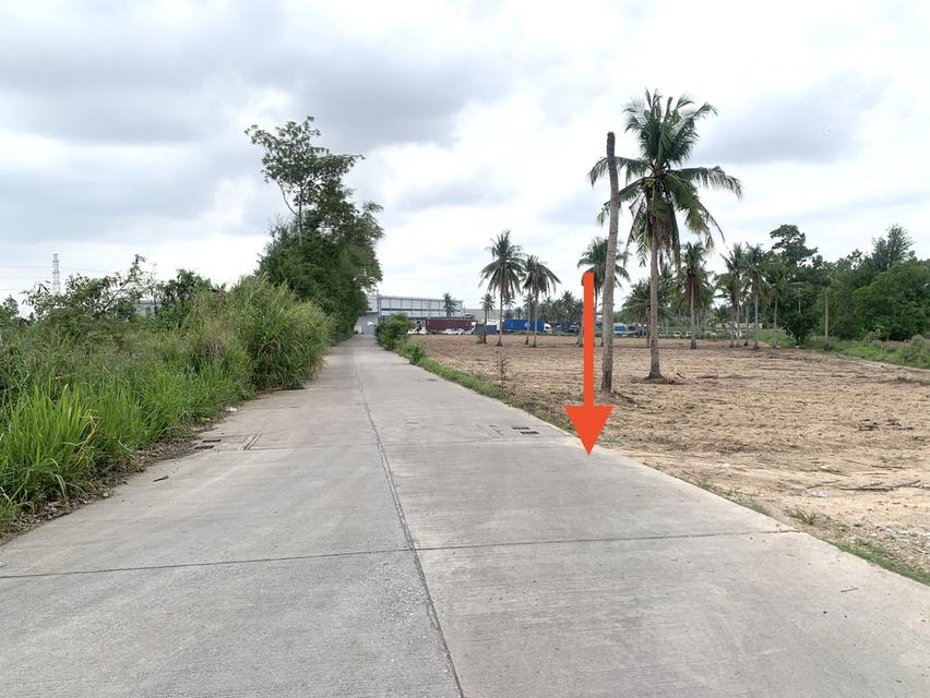 ขายที่ดินศรีราชาพื้นที่สีม่วง เนื้อที่ 35-3-71ไร่ + 8ไร่(พื้นที่สีม่วง) 4