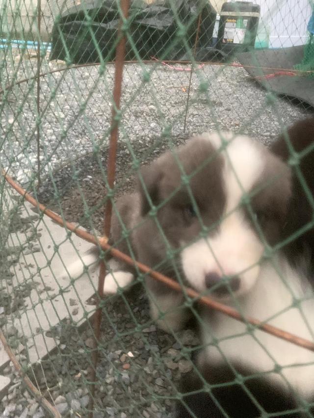 ผมไม่ซนครับพี่ๆ
