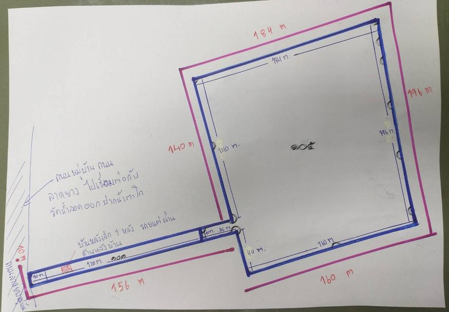 ที่ดิน สวนปาล์มน้ำมัน อ.หลังสวน จ.ชุมพร