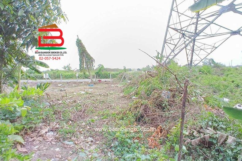 ขาย/เช่า ที่ดินถมแล้ว หมู่บ้านฉัตรหลวง เนื้อที่ 120 ตรว. ถนนกาญจนาภิเษก อ.ไทรน้อย จ.นนทบุรี 8