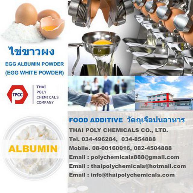 ไข่ขาวผง, Egg Albumen Powder, นำเข้าไข่ขาวผง, ส่งออกไข่ขาวผง, จำหน่ายไข่ขาวผง, ขายไข่ขาวผง 3