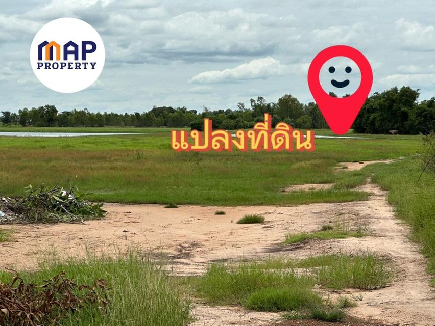ทำเลทองแห่งการลงทุน! ที่ดิน 8 ไร่เศษ เหมาะทำรีสอร์ท โรงแรม หมู่บ้านจัดสรร ใจกลางเมืองสกลนคร 6
