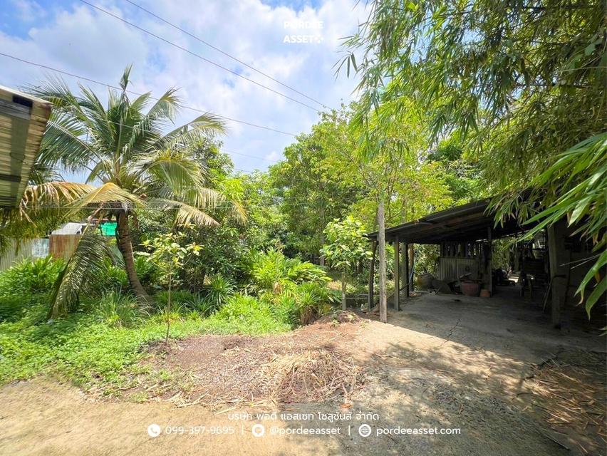 ที่ดินถมแล้ว 1-2-55 ไร่ (655 ตร.ว.) แบ่งขายเริ่มต้น 100 ตร.ว. ซอยรุ่งทรัพย์ (วัดบัวแก้ววนาราม) บ้านปทุม สามโคก ปทุมธานี  8