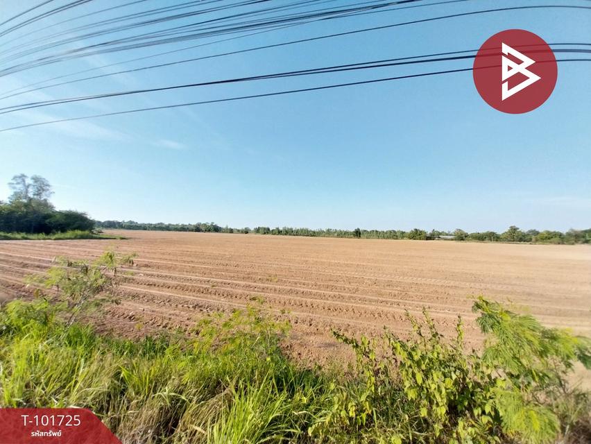 ขายที่ดิน เนื้อที่ 117ไร่ 1 งาน 64.0 ตารางวา อำเภอหนองเรือ ขอนแก่น 5