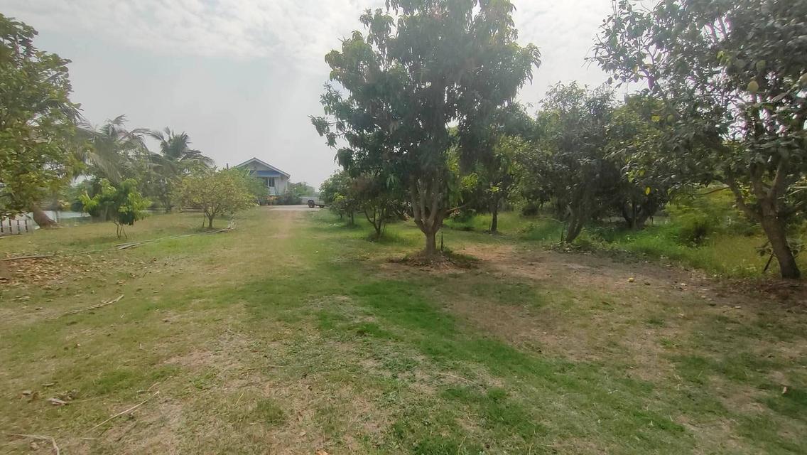 บ้านพร้อมที่ดินแปลงใหญ่ 6