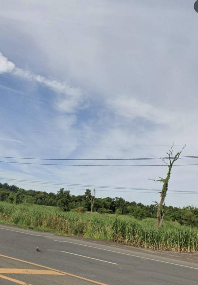 ขายที่ดิน44ไร่ตำบลทุ่งอรุณอำเภอโชคชัยจังหวัดนครราชสีมา 4