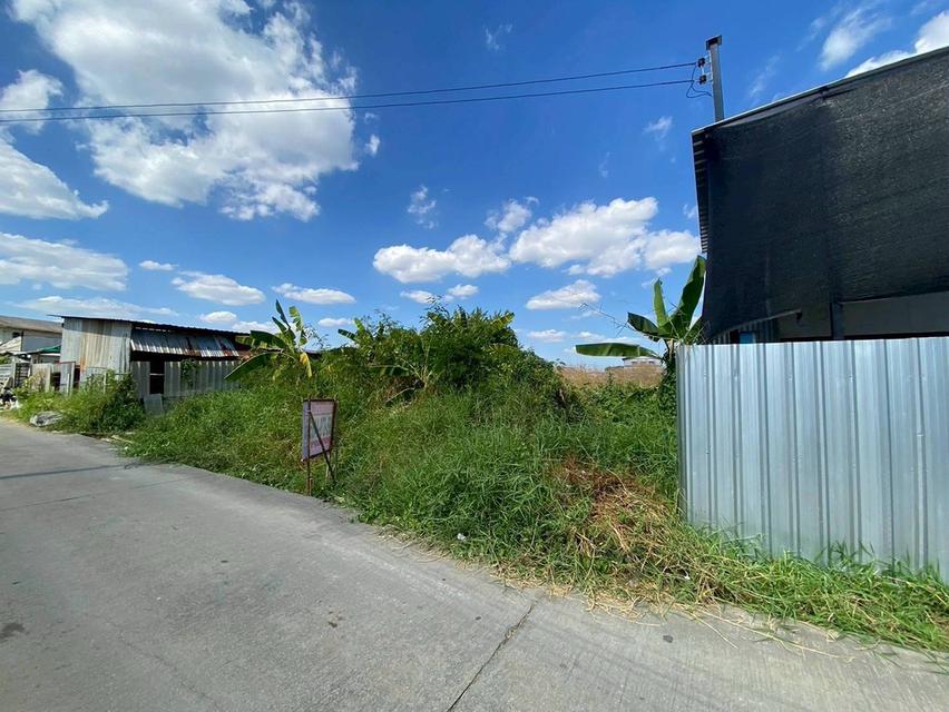 Vายถูกที่ดินใกล้สวนหลวง ร.9 เนื้อที่ 100 ตารางวา ติดถนนคอนกรีตสาธารณะ  เฉลิมพระเกียรติ ร.9 ซอย 36 พระโขนง กทม 10