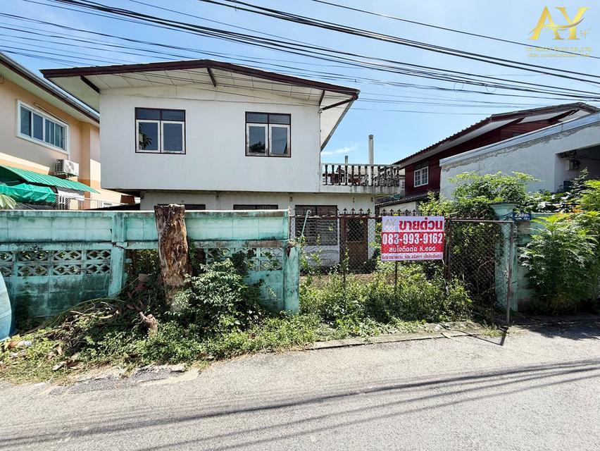 🚨 ขายด่วน 🚨 ที่ดินรามอินทรา 30 แถมบ้านเก่า 1หลัง ‼️ราคาน่ารักเกินต้าน 👉🏻👈🏻 เพียง 3.5 ล้าน 2