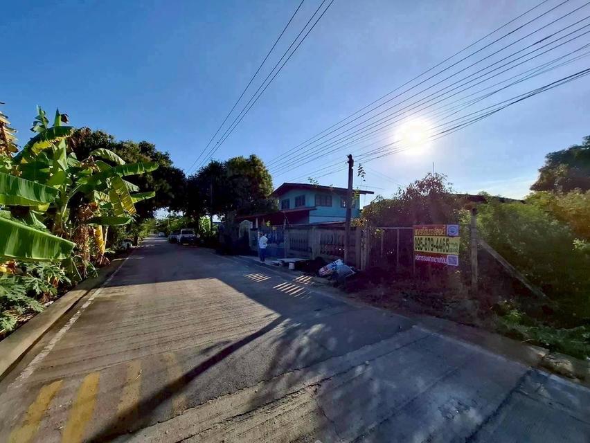 Vายด่วนที่ดินคลองแปด 100 ตารางวา ติดถนนคอนกรีตสาธารณะ ถมแล้ว ซอย คุณสัมฤทธิ์ อ.ธัญบุรี จ.ปทุมธานี 9