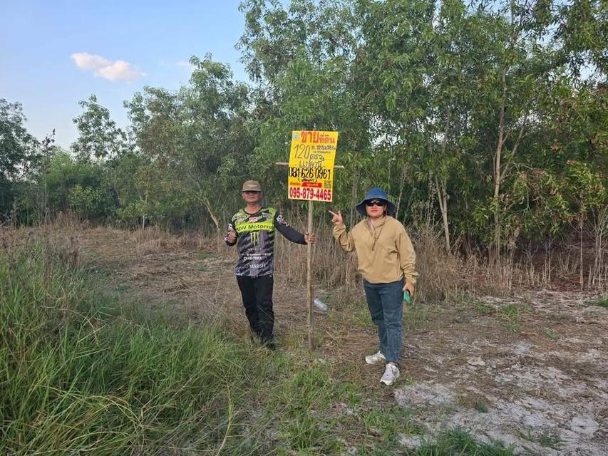 ขายด่วนที่ดิน 120 ตารางวา ติดถนนคอนกรีตสาธารณะ อ.บางเลน จ.นครปฐม 1