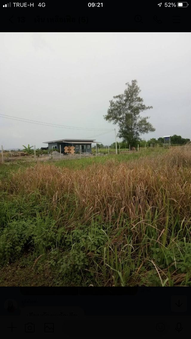 ที่ดิน 1 ไร่ ตำบล ไร่ใหม่พัฒนา อำเภอชะอำ จังหวัดเพชรบุรี 1