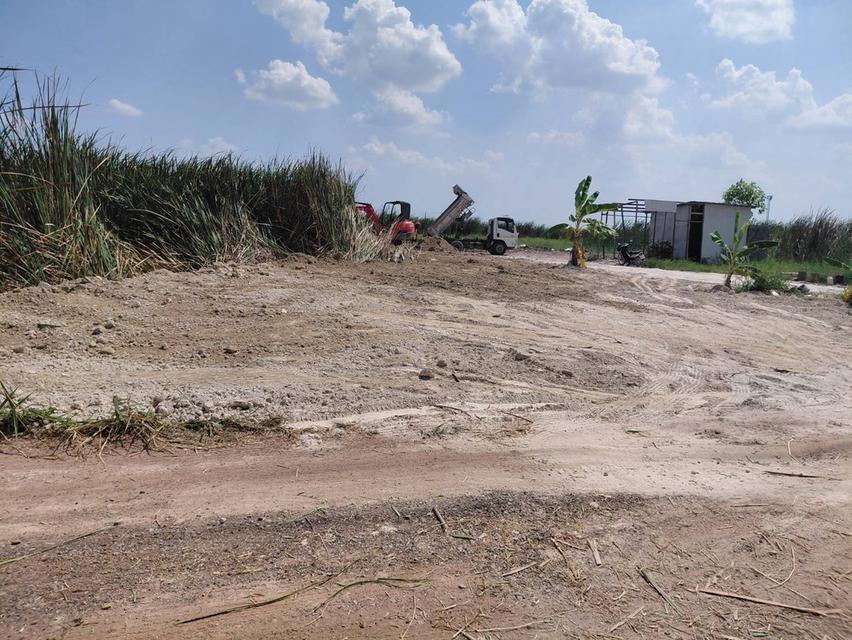 ขายที่ดิน ลาดกระบังคุ้มเกล้า 5