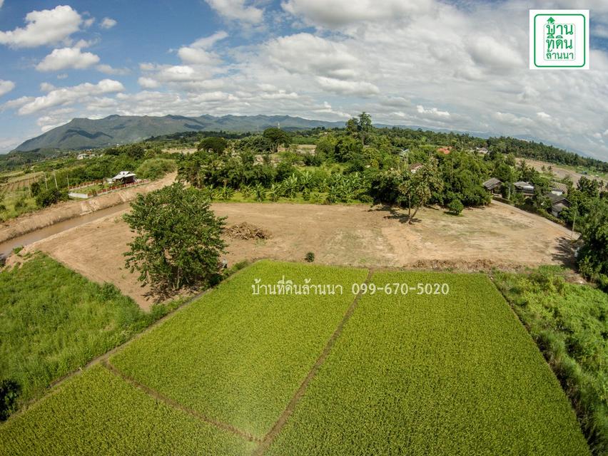 ที่ดิน 3 ไร่หน้าติดถนน หลังติดแม่น้ำวาง วิวภูเขา 8