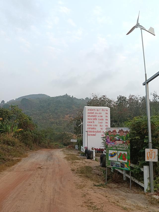บ้านสวนทุเรียนพร้อมรีสอร์ท 4