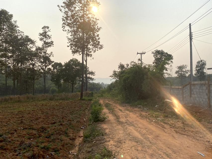 ขายที่ดิน 37 ไร่ ติดทางหลวงสาย เลย เพชรบูรณ์ 18