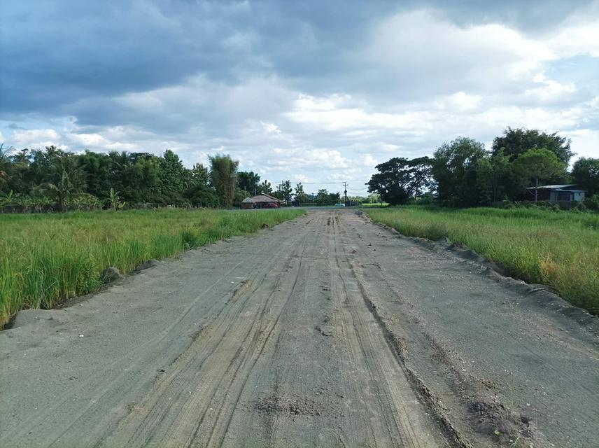 ขายที่ดิน ราคา3,980บาท/ตร.ว. ต.ป่าป้อง อ.ดอยสะเก็ด จ.เชียงใหม่ 4