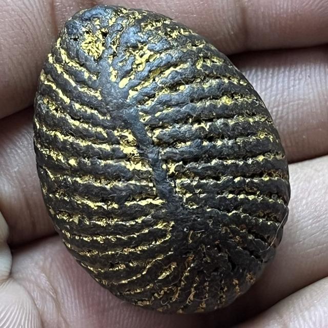 เบี้ยหลวงปู่ทวดเคลืองลักปิดทองเก่ามาก รูปที่ 2