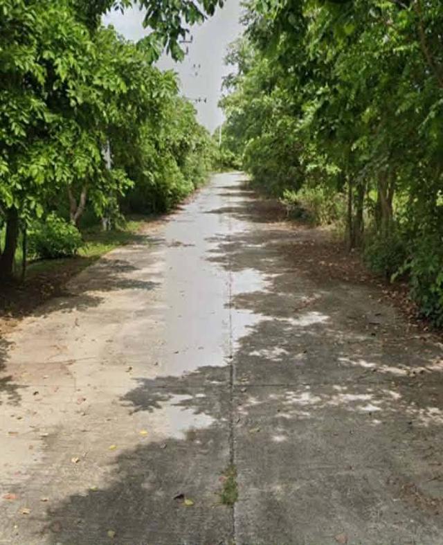 ที่ดินเปล่าสุวินทวงศ์110 หนองจอก กรุงเทพขายด่วน 4