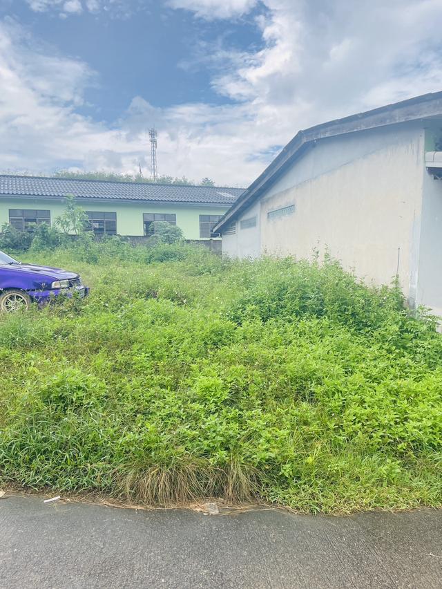 ที่ดิน 7