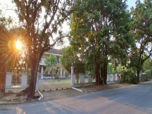 ขายบ้านเดี่ยว 587 ตรว. ถนนเมน หมู่บ้านนวธานี ถนนเสรีไทย 59 เกษตร-นวมินทร์ ใจกลางธรรมชาติ ร่มรื่น อยู่สบาย 3