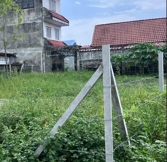 ขายที่ดินเสม็ดหลังแม็คโคร 65 ตรว. ถมแล้วซอยจัดสรร4 ใกล้ถนนสุขุมวิท3-400เมตร อ.เมืองชลบุรี 3