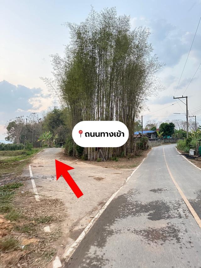 ที่ดิน(ที่นามีโฉนดครุฑแดง) 2