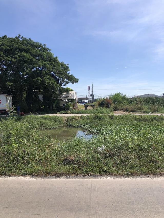 ขายที่ดิน 60 ไร่ วังน้อย อยุธยา 6