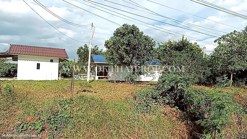 ที่ดิน 3 ไร่ ใกล้โรงพยาบาลพัฒนานิคม อ.พัฒนานิคม จ.ลพบุรี 4