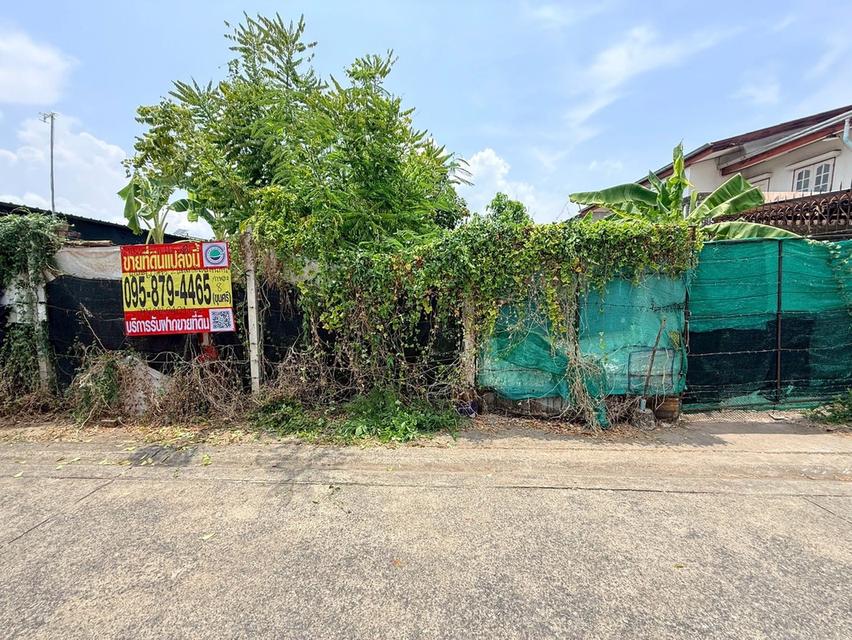 ขายด่วนที่ดินใกล้รถไฟฟ้า 120 ตรว ติดถนนคอนกรีต 2 ด้าน ซ.กาหลง 7,8 เมืองนนทบุรี 1