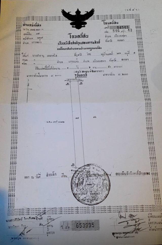 ที่ดินเปล่าเกาะแต้ว 3.2.50ไร่ ราคาถูก ถนนตัดผ่าน 4