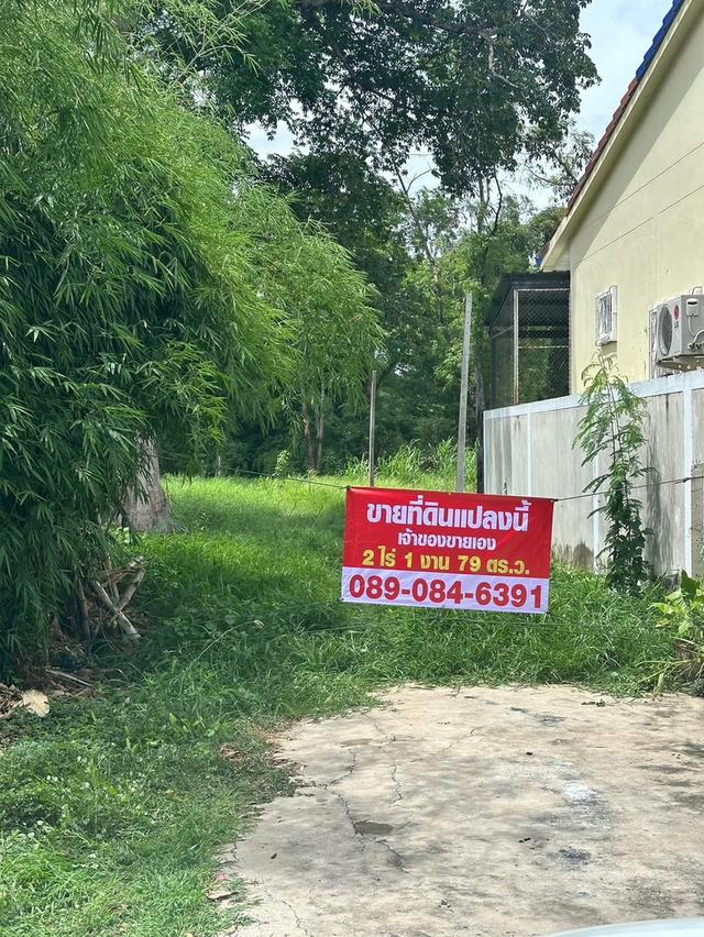 ที่ดิน เขตเทศบาลเมืองอุทัยธานี ตำบลอุทัยใหม่ อำเภอเมือง จังหวัดอุทัยธานี 8