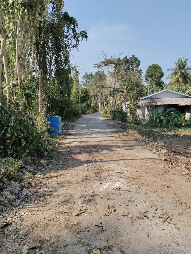 ขายที่ดินเปล่า ทำเลดี หน้าหลังติดคลองน้ำ อำเภอเมืองพิจิตร จังหวัดพิจิตร 7