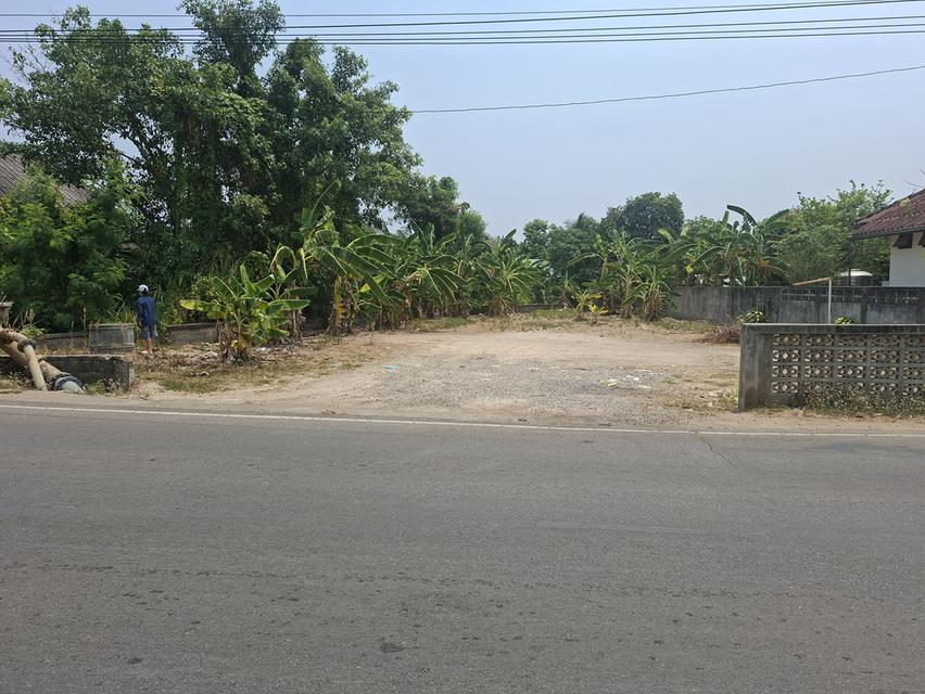 ที่ดินเปล่าทำเลดีมีน้ำไฟ 2