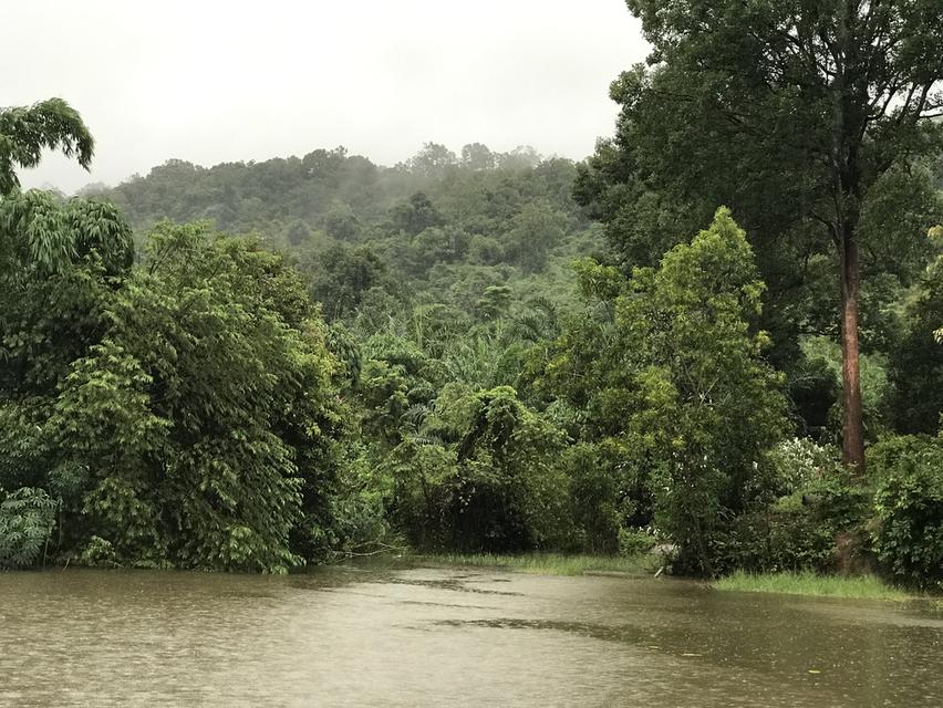ขายบ้านทรงรีสอร์ท ใกล้เขา ติดลำธาร จังหวัดปราจีนบุรี 8
